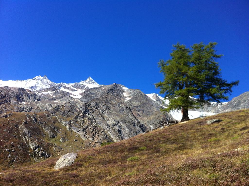 Apartmenthaus Sunshine Saas-Grund Buitenkant foto